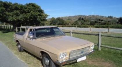 1974 Chevrolet El Camino 6 Cylinder LDV Auto - SOLD 2012