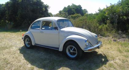 1976 Volkswagen Beetle 1600 Twin Port - SOLD 2024