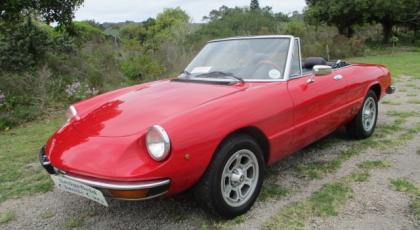 1981 Alfa Romeo Spider 2L Series 2 LHD - SOLD 2020